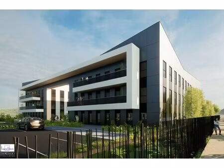 achat local professionnel 3 951m²