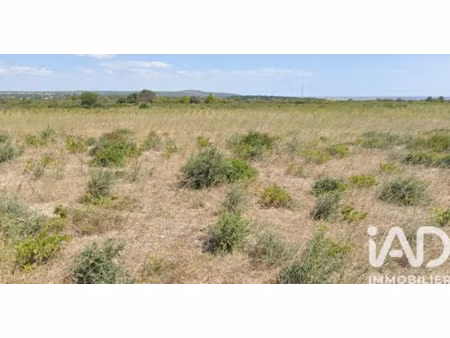 vente terrain à la palme (11480) : à vendre / 2940m² la palme