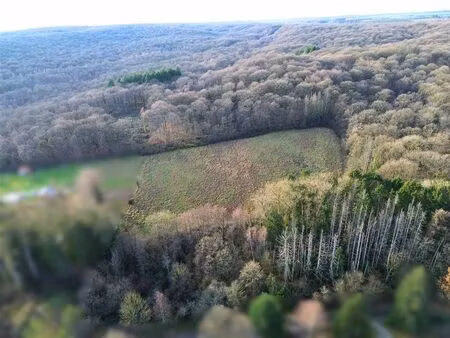 terrain à vendre à allée des hortensias lot 57 neuville (vbd62757)