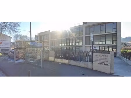 achat local professionnel 291m²