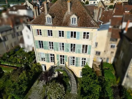 hôtel particulier historique en plein coeur de ville  dépendances  grand jardin  piscine