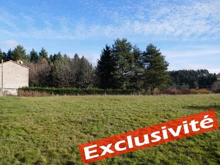 vente terrain 1205 m² saint-pal-de-mons (43620)