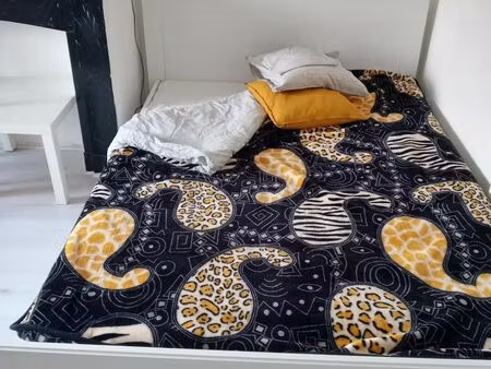 maison en colocation à rue maria malibran ixelles (vbd63198)