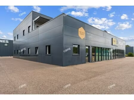 achat local professionnel 485m²