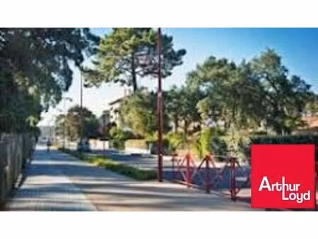 vente commerce 217 m² tarnos (40220)