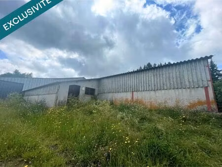 vente commerce 1 pièce 593 m² saulzet-le-froid (63970)