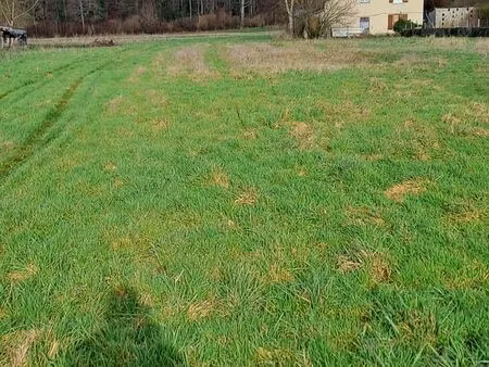 terrain à bâtir viabilisé à grand bourgtheroulde