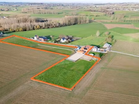 maison à vendre à deftinge € 795.000 (lihhy) - horse immo | zimmo