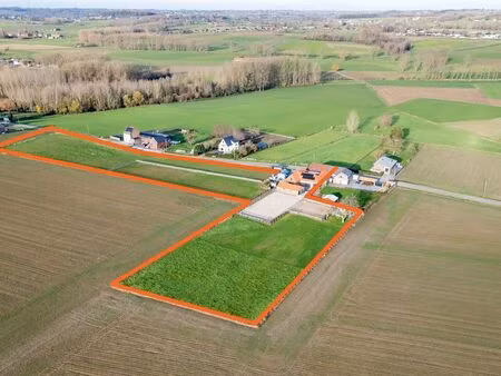 maison à vendre à deftinge € 845.000 (lihhy) - horse immo | zimmo