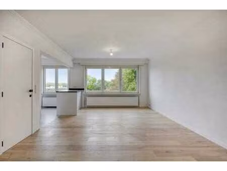 luxueux appartement rénové avec deux chambres et garage