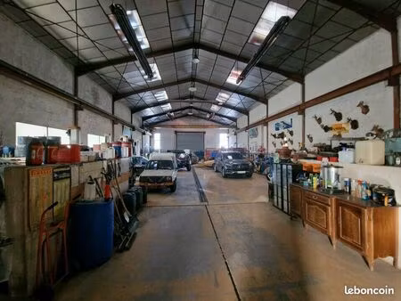 local d'activité 725 m²