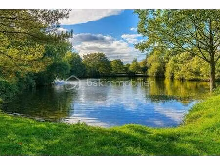 siegfried helie bsk immobilier