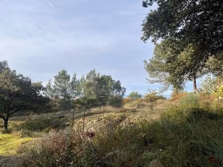 villas la provençale - agence d avignon