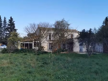 otentik immo
