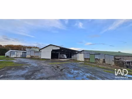 vente commerce 1300 m² les brouzils (85260)