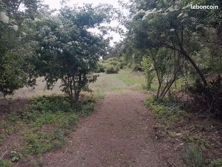 pature ou pour loisirs