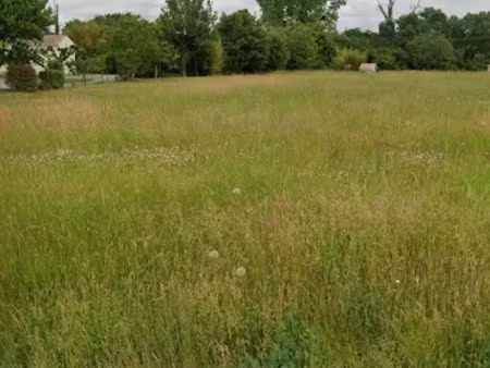 vente terrain 1256 m² à pisany (17600)  125 000 €