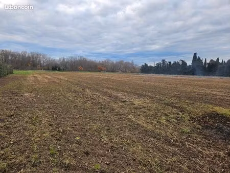 terrain bord de d973 pour expo