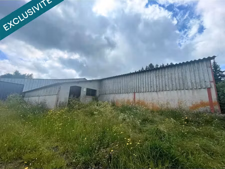 vente locaux professionnels 593 m² à saulzet-le-froid (63970)  87 000 €