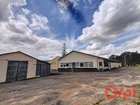 vente locaux professionnels 680 m² à neuville-sur-brenne (37110)  192 600 €