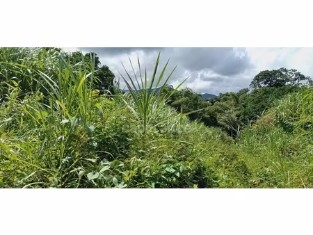 dépt martinique (972) à vendre terrain gros-morne 5303 00 m² - 459 000 €