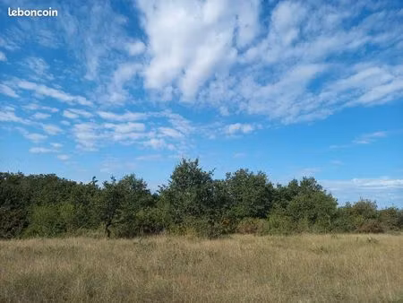terrain isoler d'un hectare (forêt/prairie) facile d'accès