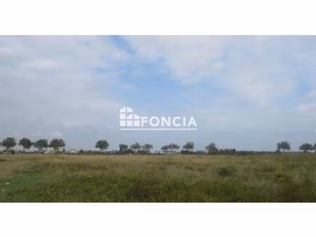 saint hippolyte terrain agricole de 20000 mètres carrés