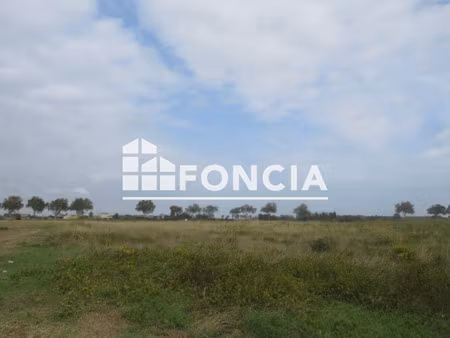 terrain 20000m² à vendre 88000€ - saint-hippolyte 66510