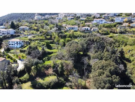terrain constructible de 3435m2 sur cervione