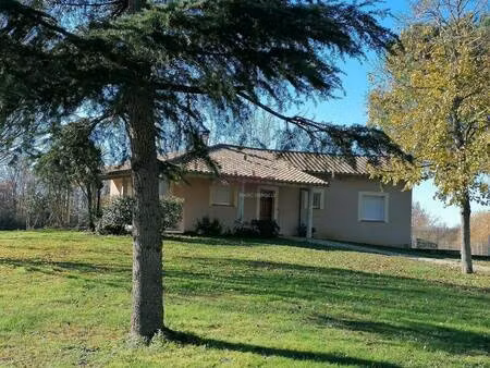 sarl alpha immobilier