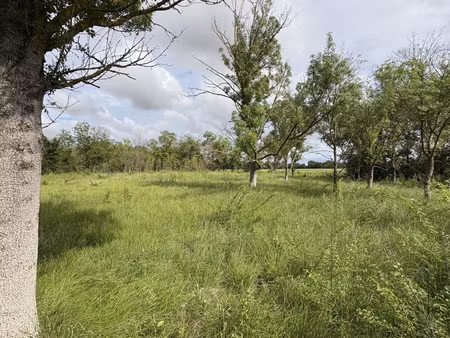 terrain de loisirs à florensac.
