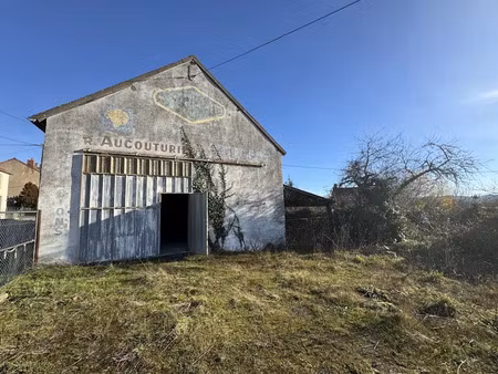 vente maison 0 pièces 53 m² à hyds (03600)  45 000 €