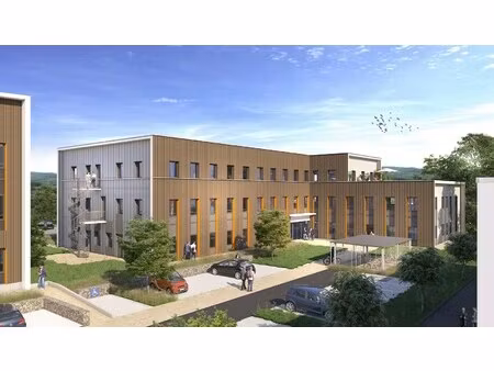 achat local professionnel 1 311m²