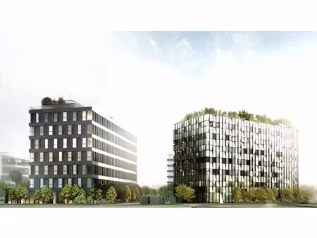 location local professionnel 11 394m² blagnac 31700