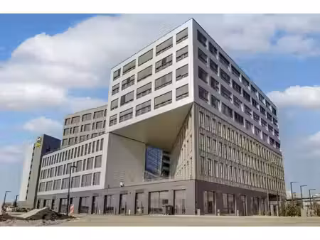 location local professionnel 3 896m²