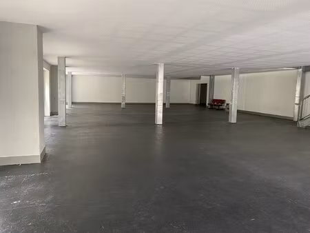 location local professionnel 687m²