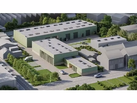 commercieel te koop in anzegem