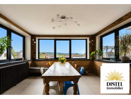 achat maison 8 pièces 162m² dangolsheim 67310