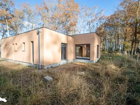 vente maison 4 pièces 115 m² à saint-geours-de-maremne (40230)  347 500 €