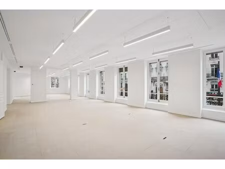 location local professionnel 383m²