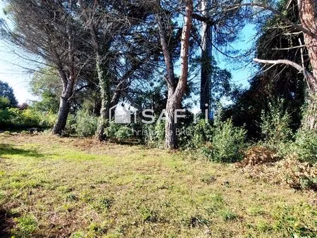 vente commerce 1 pièce 150 m² castanet-tolosan (31320)