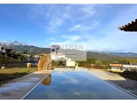 terra immobilier solenzara