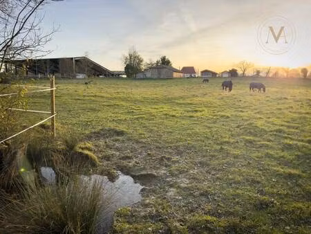 ferme équestre à vendre