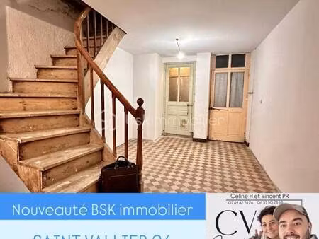 vincent paya roset bsk immobilier