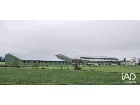 vente bureaux et commerces à beaufou (85170) : à vendre / 4500m² beaufou