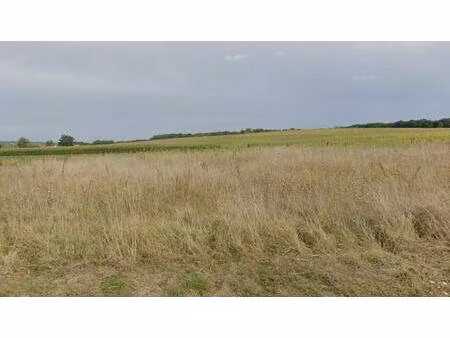 terrain constructible viabilisé à vendre