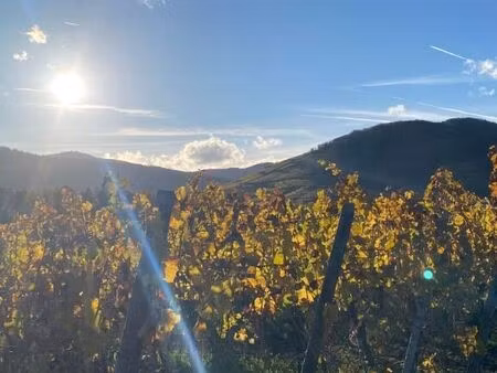 vente maison 4 pièces 100 m² kaysersberg-vignoble (68240)