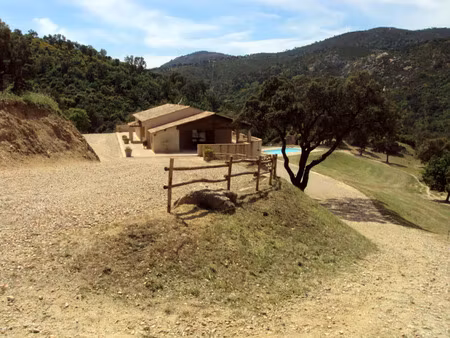 vente maison 12 pièces 500 m² le plan-de-la-tour (83120)