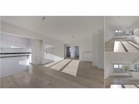 appartement à louer à nerviersstraat 140 asse (rbu87975)