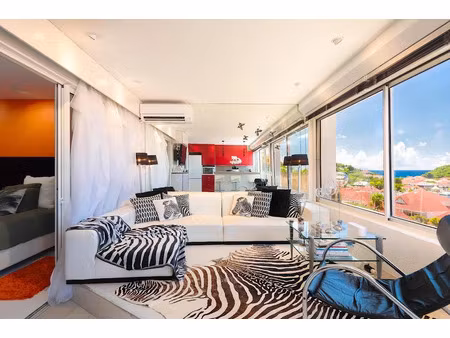 vente appartement 3 pièces 62 m² à saint-barthélemy (97133)  2 295 000 €